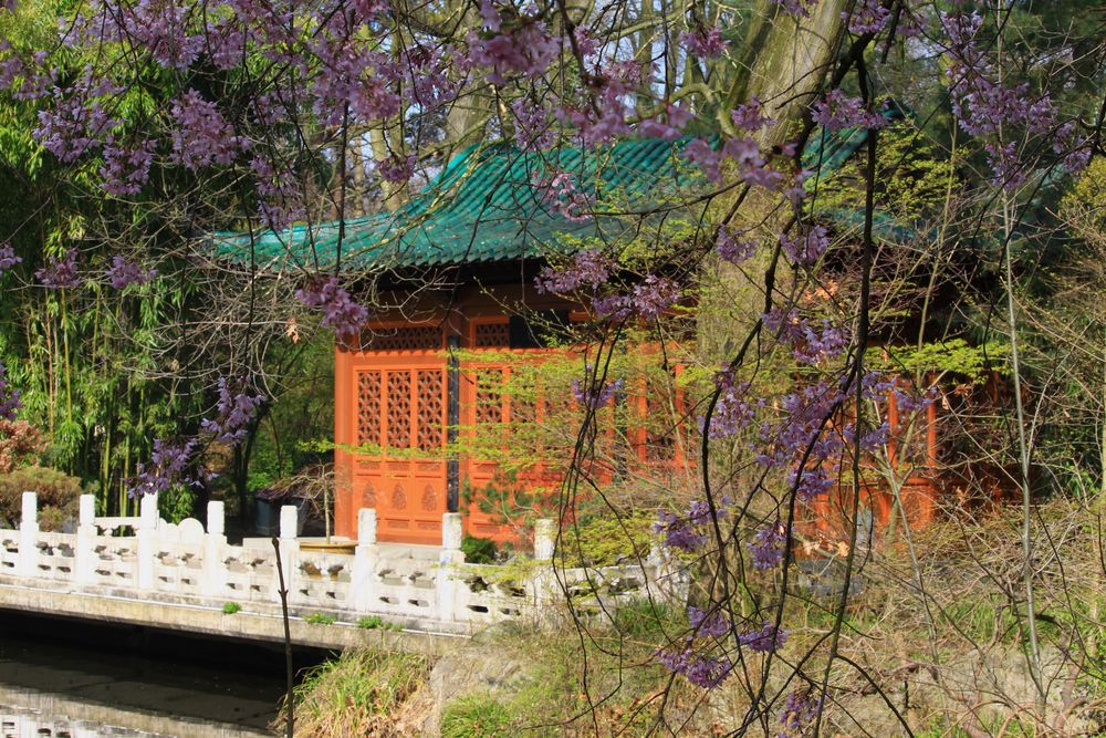 Pagode Foto & Bild landschaft, garten & parklandschaften, china