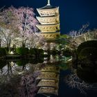 Pagode des To-ji-Tempels in Kyoto