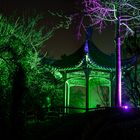 Pagode im Luisenpark