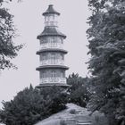 Pagode im Schlosspark Oranienbaum