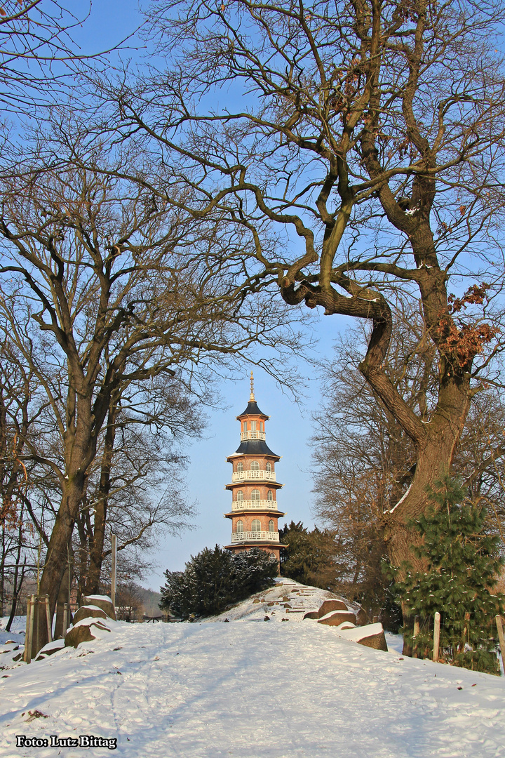 Pagode im Schlosspark Oranienbaum