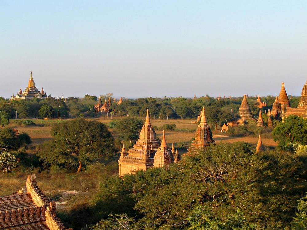 Pagodenfeld in Bagan