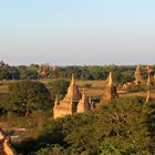 Pagodenfeld in Bagan