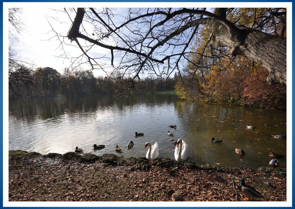 Pagodensee im Schlopa