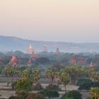 "Pagodenwald" von Bagan