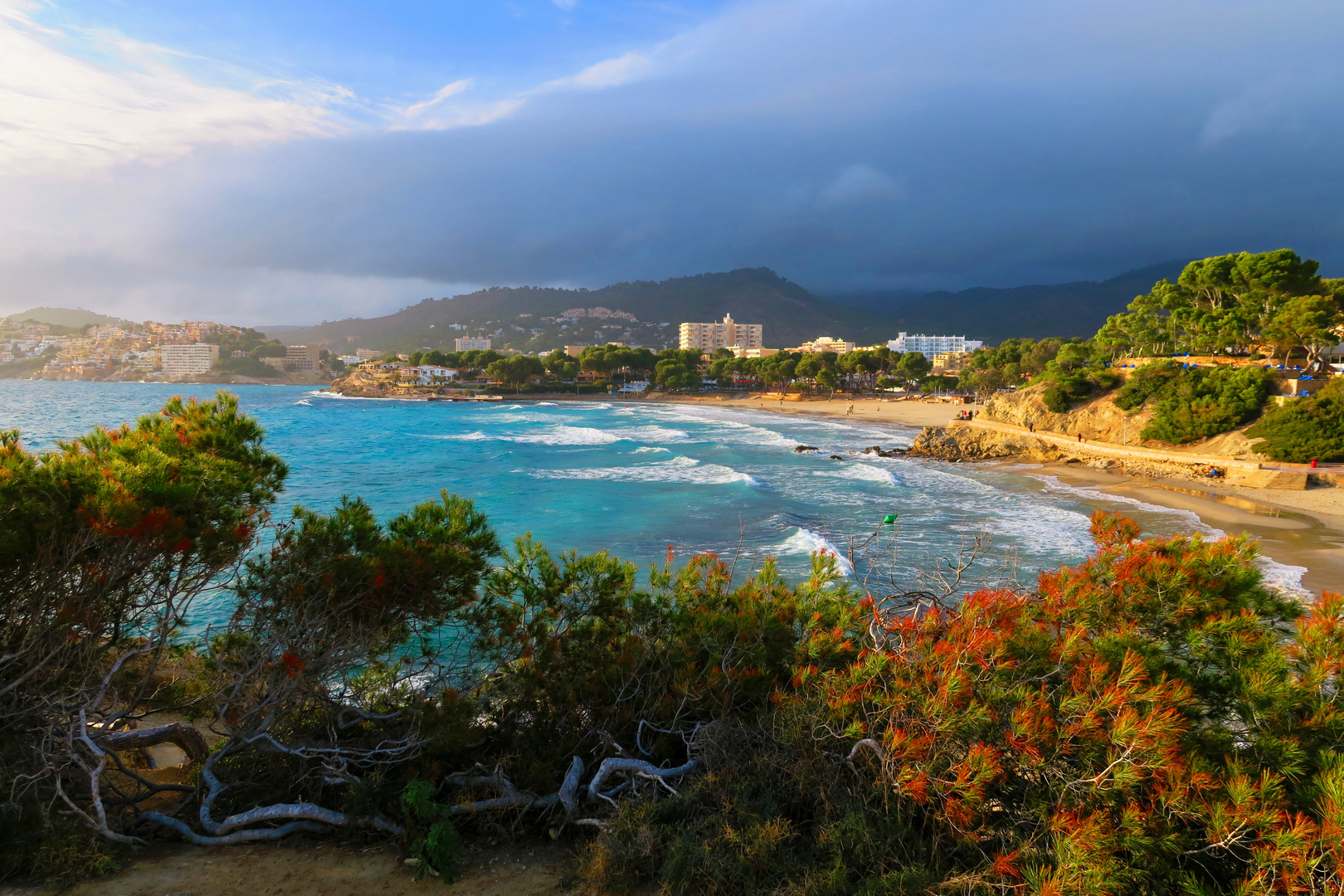 Paguera : Mallorca