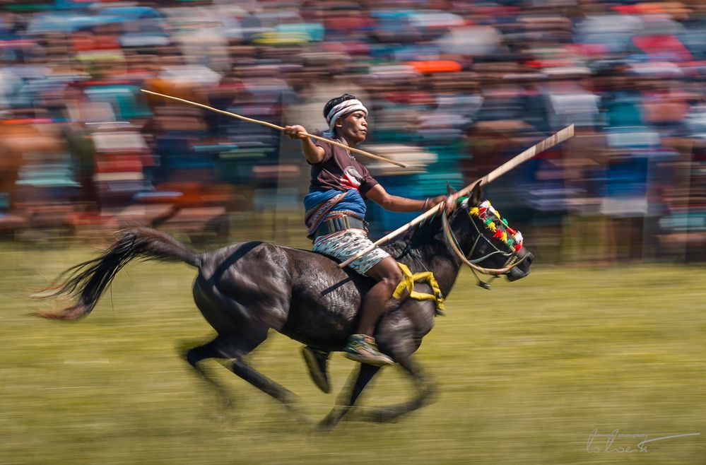 Pahlawan ~ Pasola @ Sumba Barat 