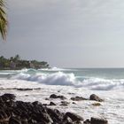 Pahoehoe Beach Park (Big Island Hawai'i/Nov 2002)