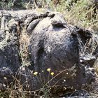 Pahoehoe-Lava des Vesuv