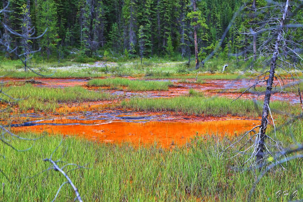 Paint Pots (1) Foto & Bild north america, canada, landschaft Bilder