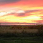 Paint-splashed South TX Sky