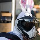 Paintball Hase