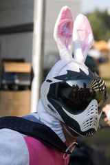 Paintball Hase