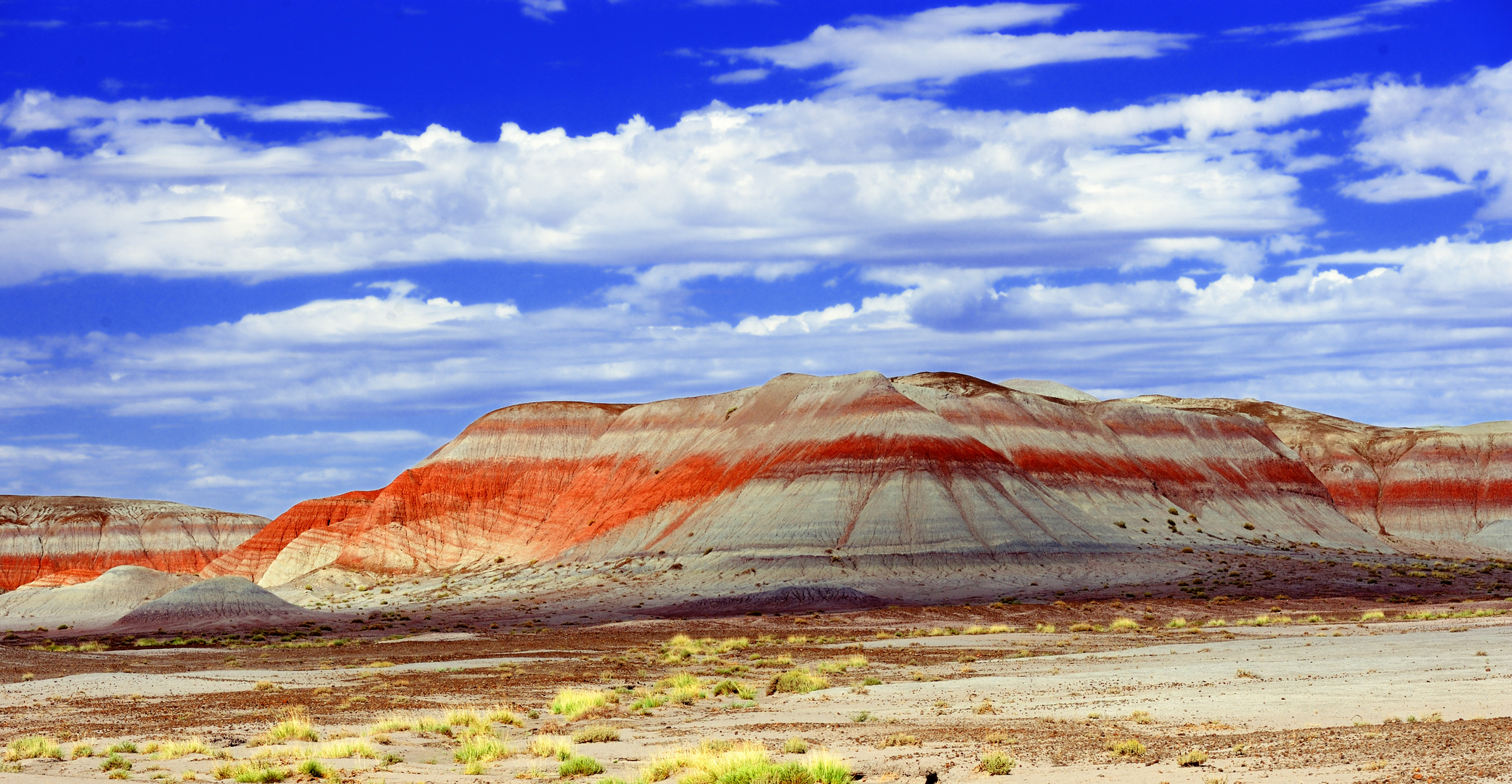 painted desert