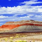 painted desert