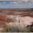 painted desert 36