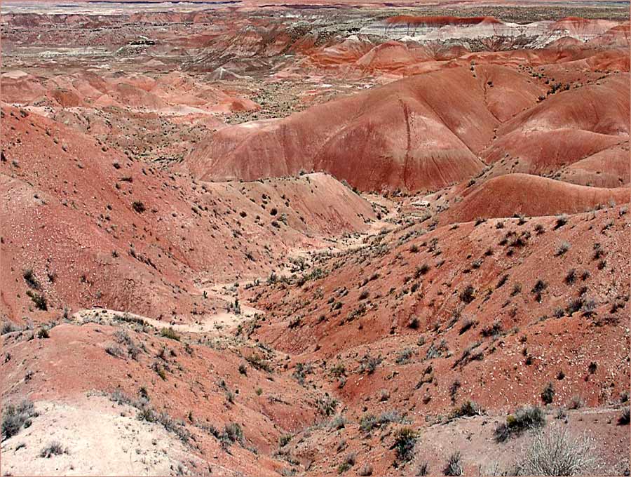 Painted Desert....