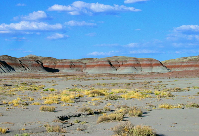 painted desert