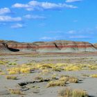 painted desert