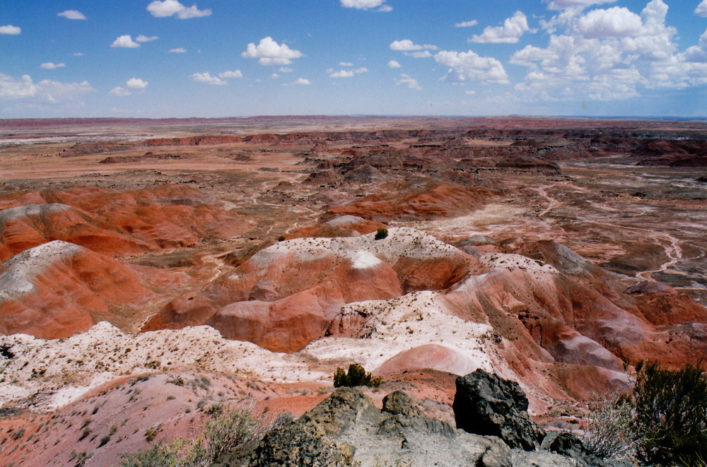 Painted Desert