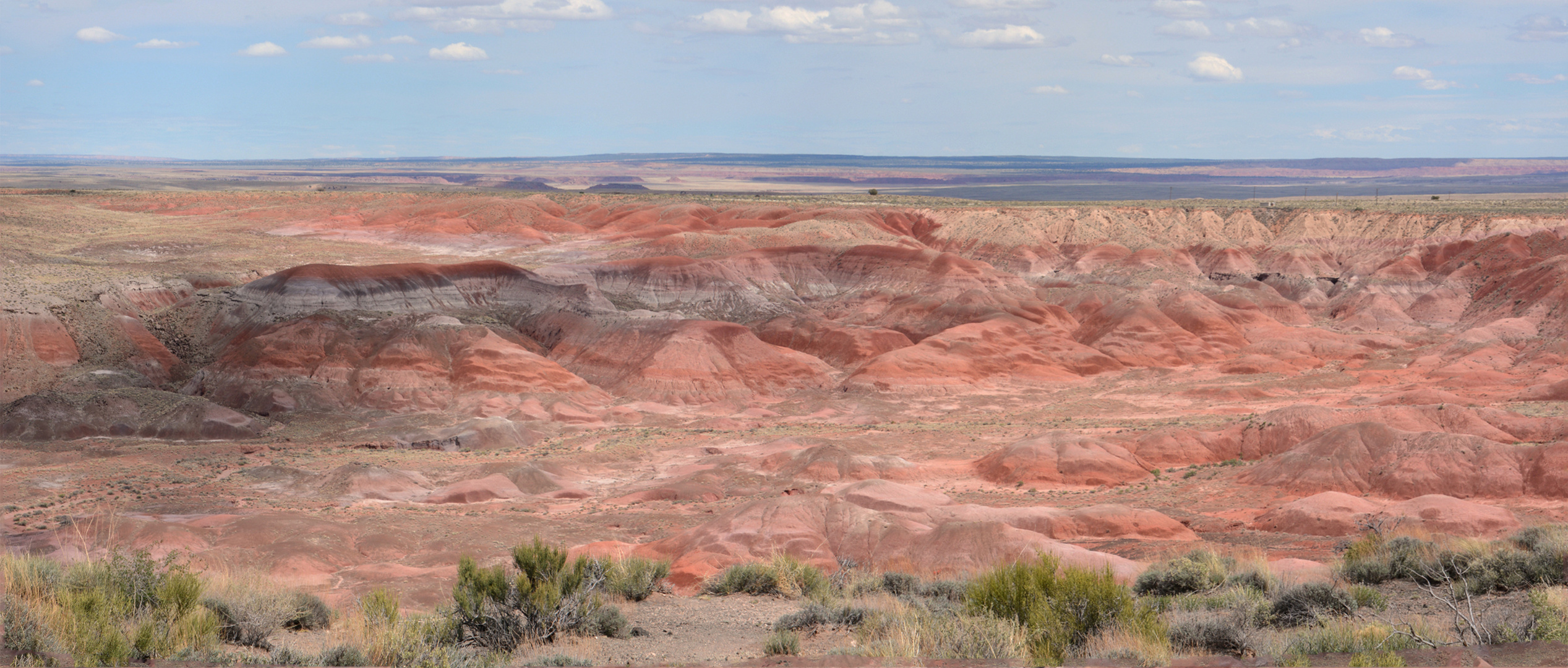 Painted desert