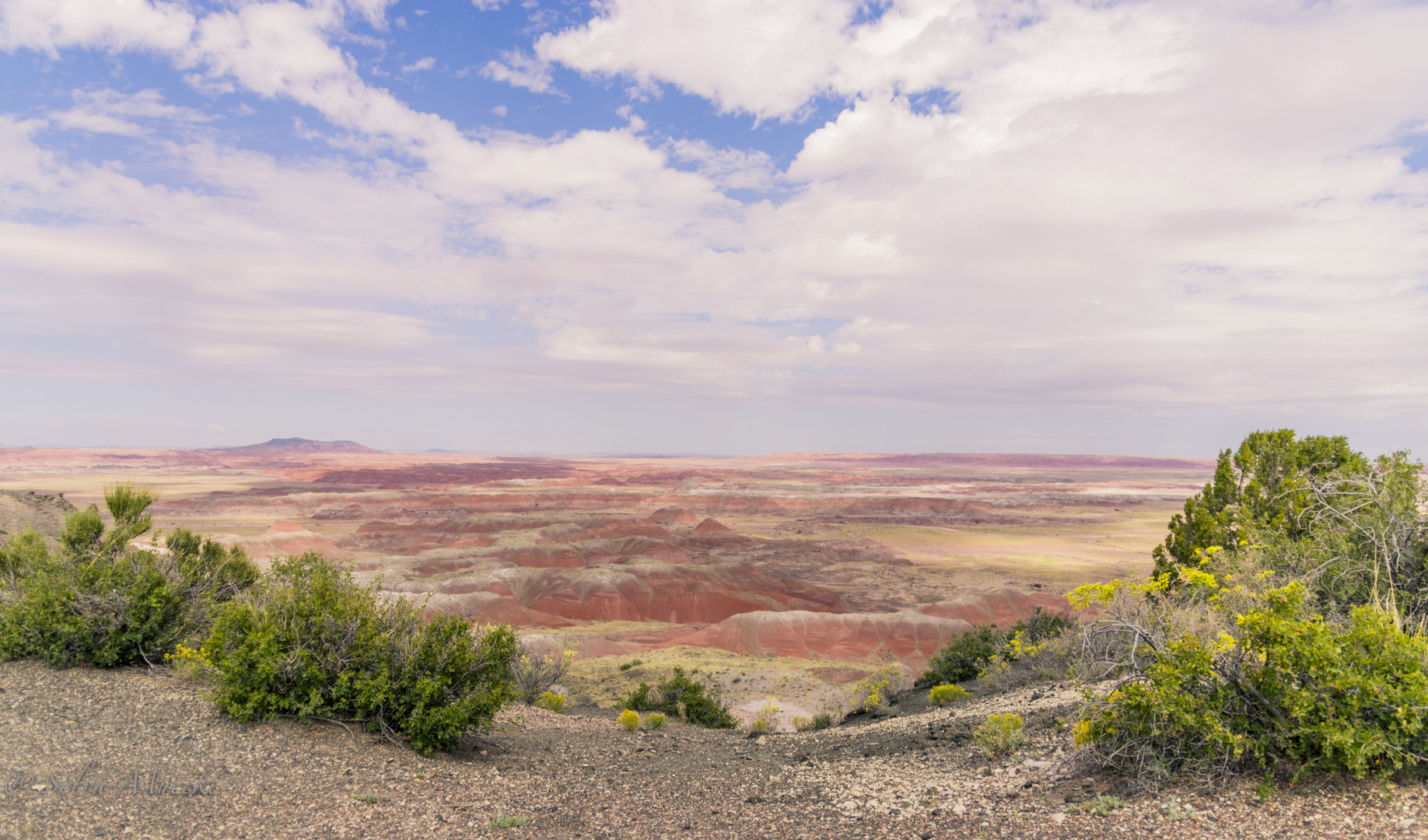 Painted desert / Arizona