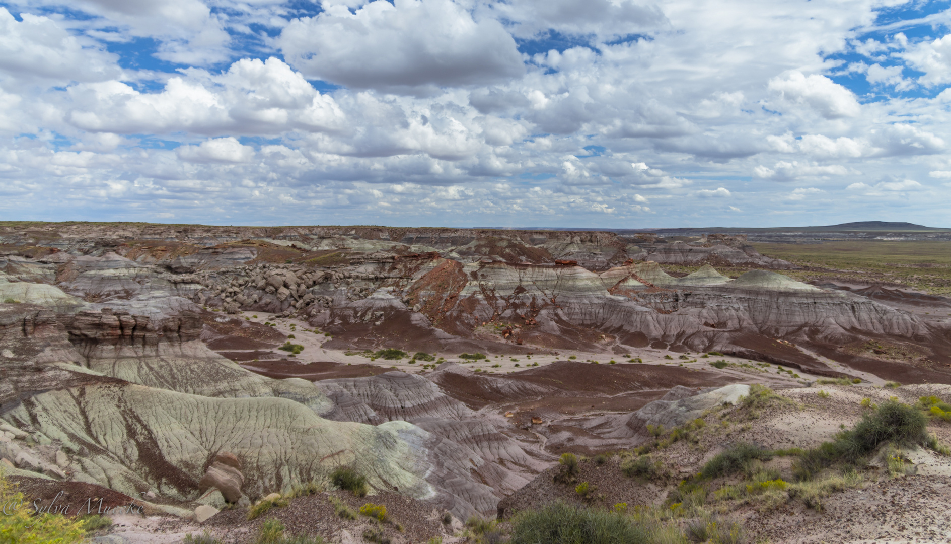 Painted desert Arizona 