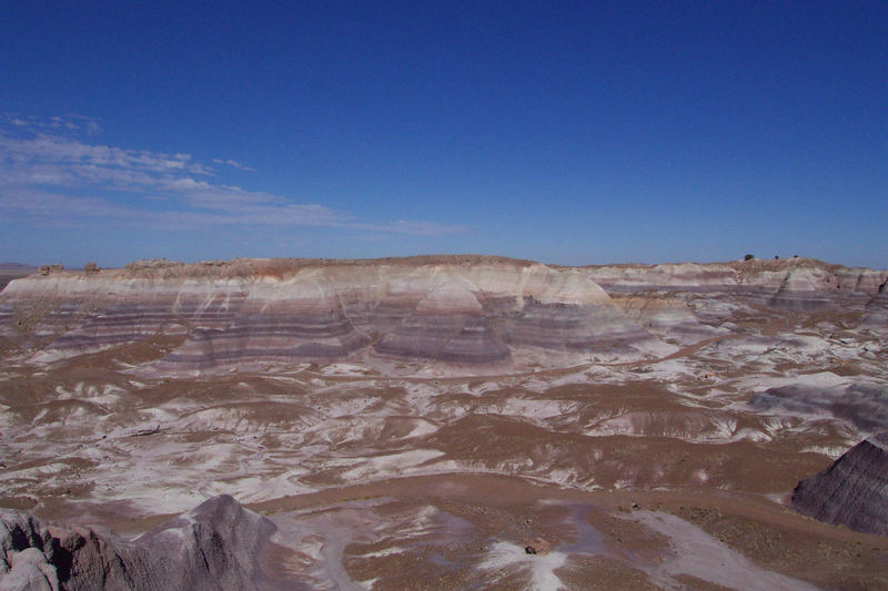 Painted Desert( Blue Mesa )