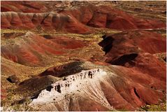 Painted Desert