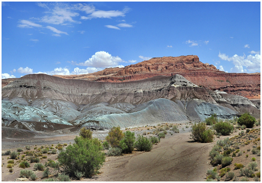 Painted Desert