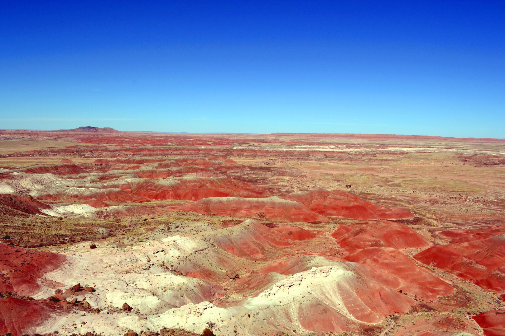 Painted Desert