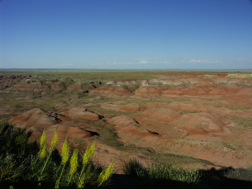 Painted Desert