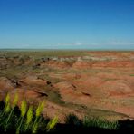 Painted Desert