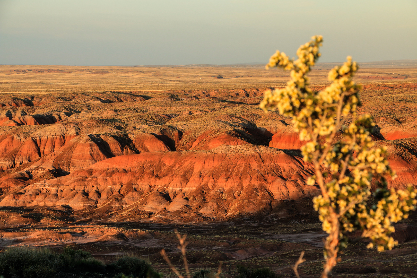 Painted Desert im Abendlicht