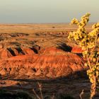 Painted Desert im Abendlicht