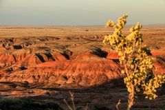 Painted Desert im Abendlicht