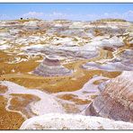 Painted Desert im Petrified Forest N.P. - Arizona, USA