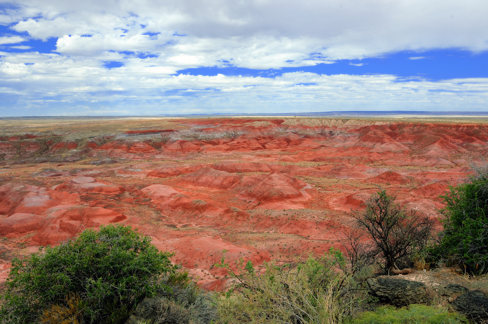 Painted Desert NP