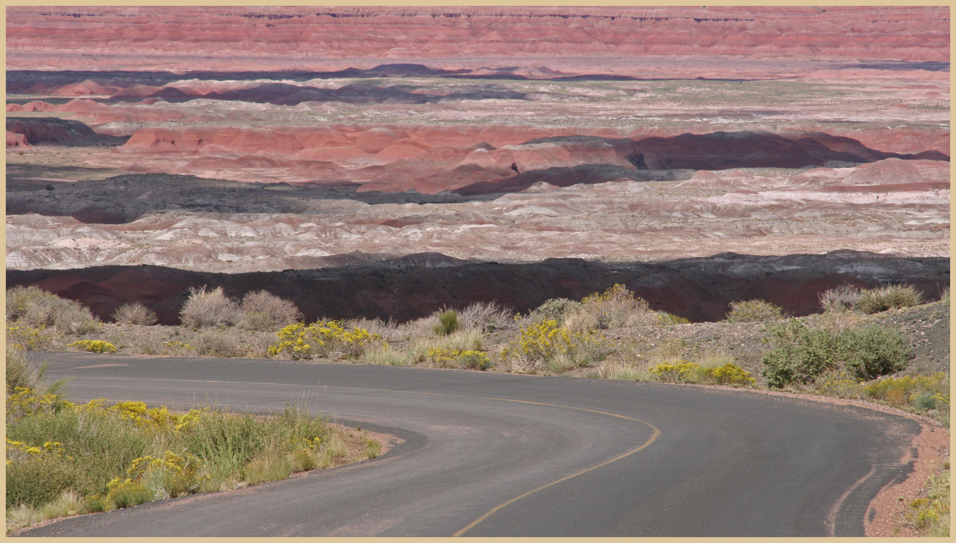 painted desert overlook 2