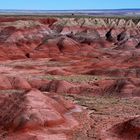 Painted Desert / Petrified Forest NP