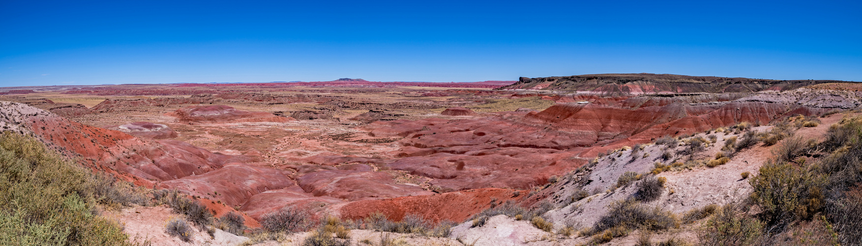 "Painted Desert" unterwegs zum Petrified Forest N.P.