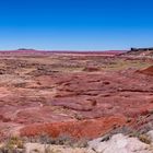 "Painted Desert" unterwegs zum Petrified Forest N.P.