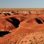 Painted Dessert