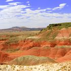 Painted Dessert