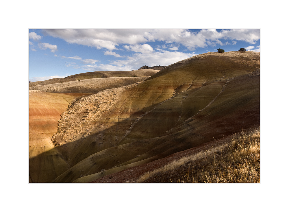 Painted Hills at Afternoon