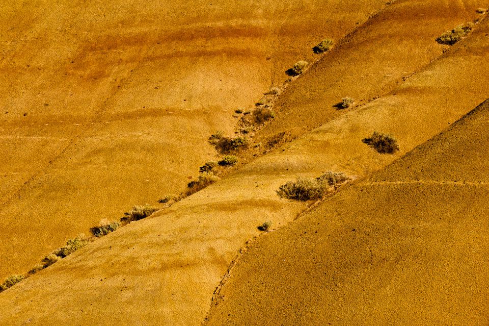 painted hills - detail