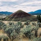 Painted Hills III