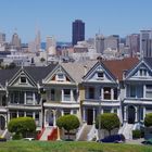 Painted Ladies