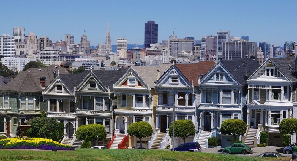 Painted Ladies