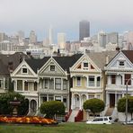 "Painted Ladies"